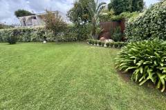 giardino5